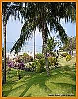 La plage vous attend studios