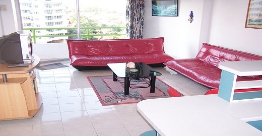 Grand salon confortable. Salon